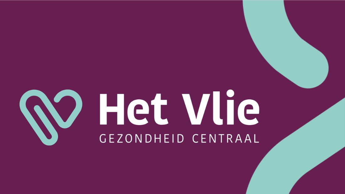logo Het Vlie (1100 x 619 px)